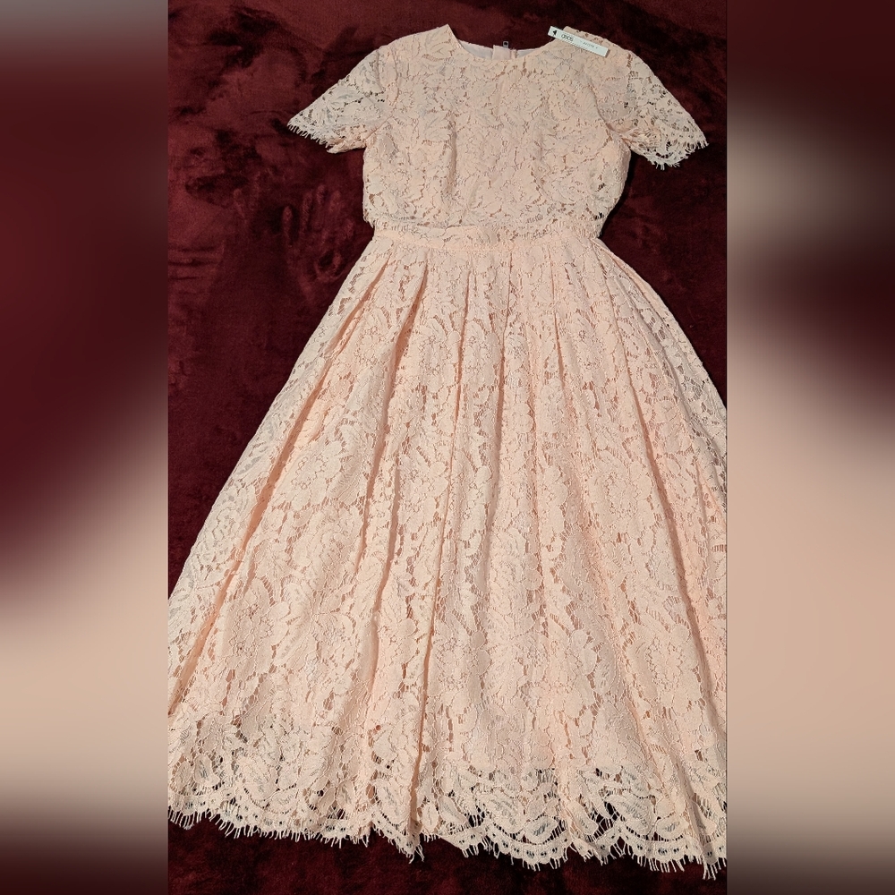 ASOS Pink Lace Dress
